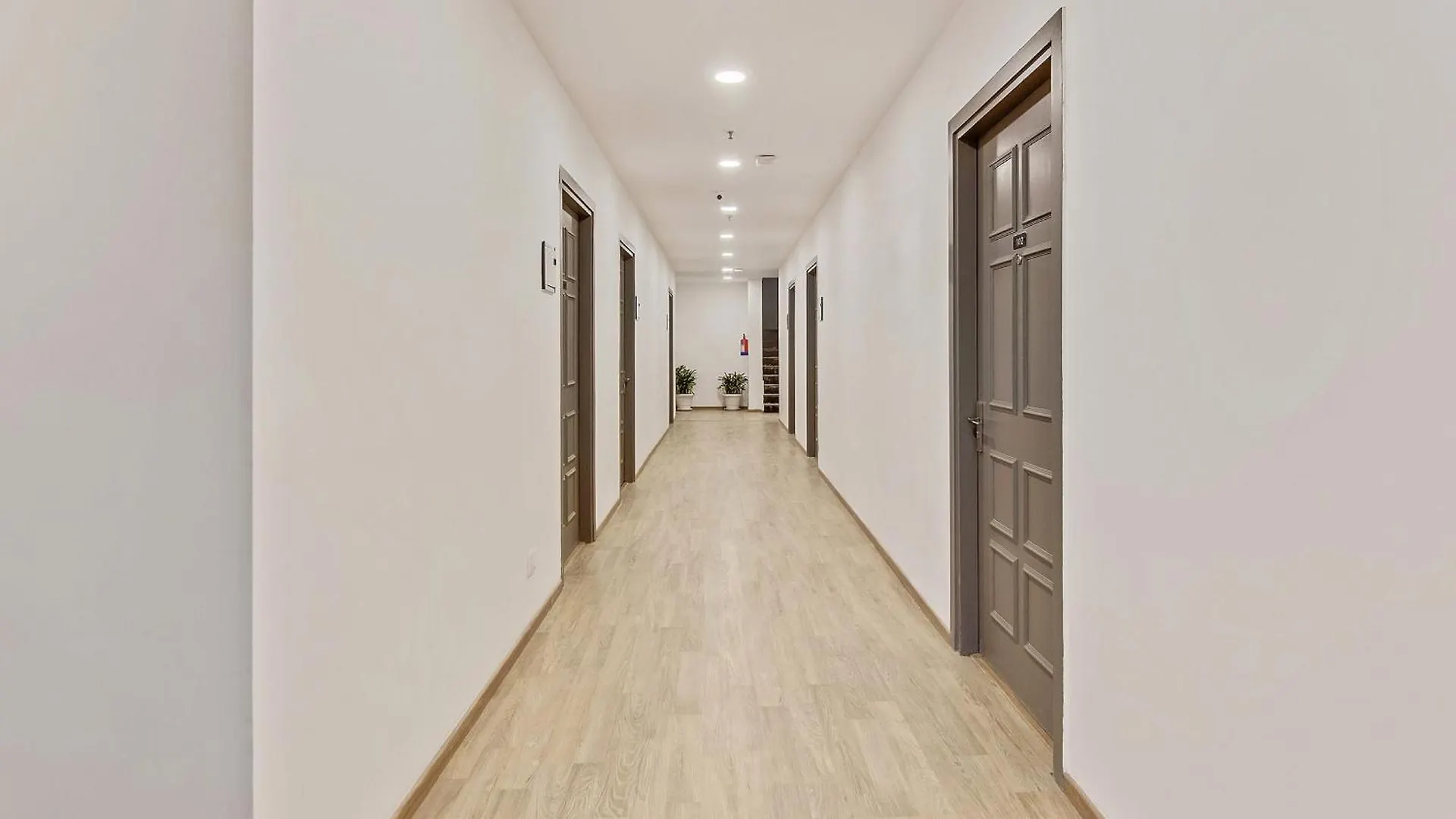 ****  Hotel Roma 新德里 印度